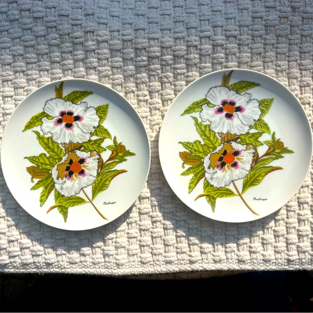 Two Vintage Salad Plates Andrea By Sadek Floral Botanical 7 1/2